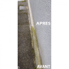 anti mousse murs, façades