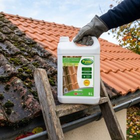 anti mousse toitures